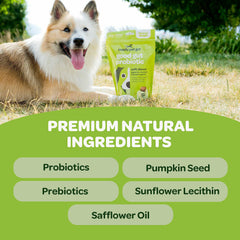 Ready Pet Go! probiotic chews ingredients pumpkin close-up highlighting natural digestion support