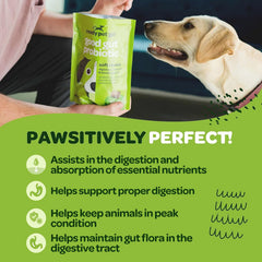 Ready Pet Go! probiotic chews serving size piece on paw