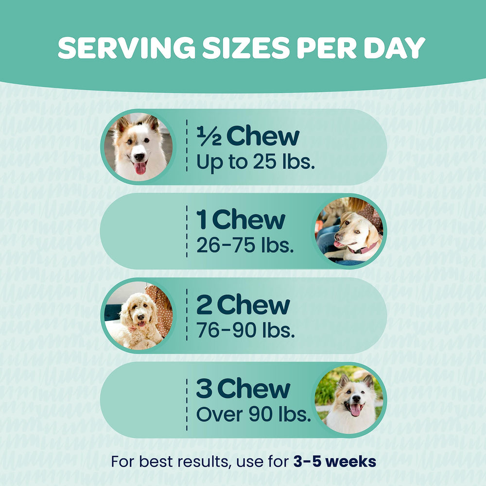 Ready Pet Go probiotics-colostrum-alaskan-salmon-oil blend image highlights nourishing ingredients.