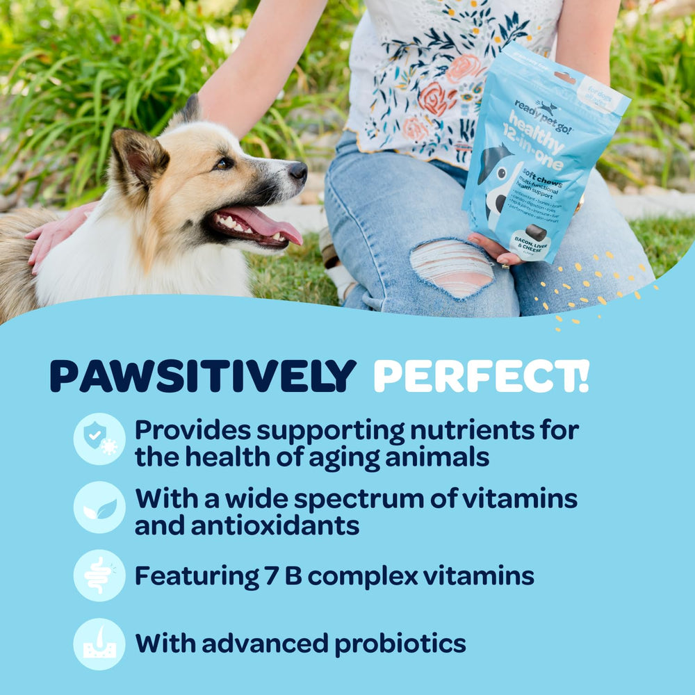 Ready Pet Go skin and coat health chews for a shiny coat