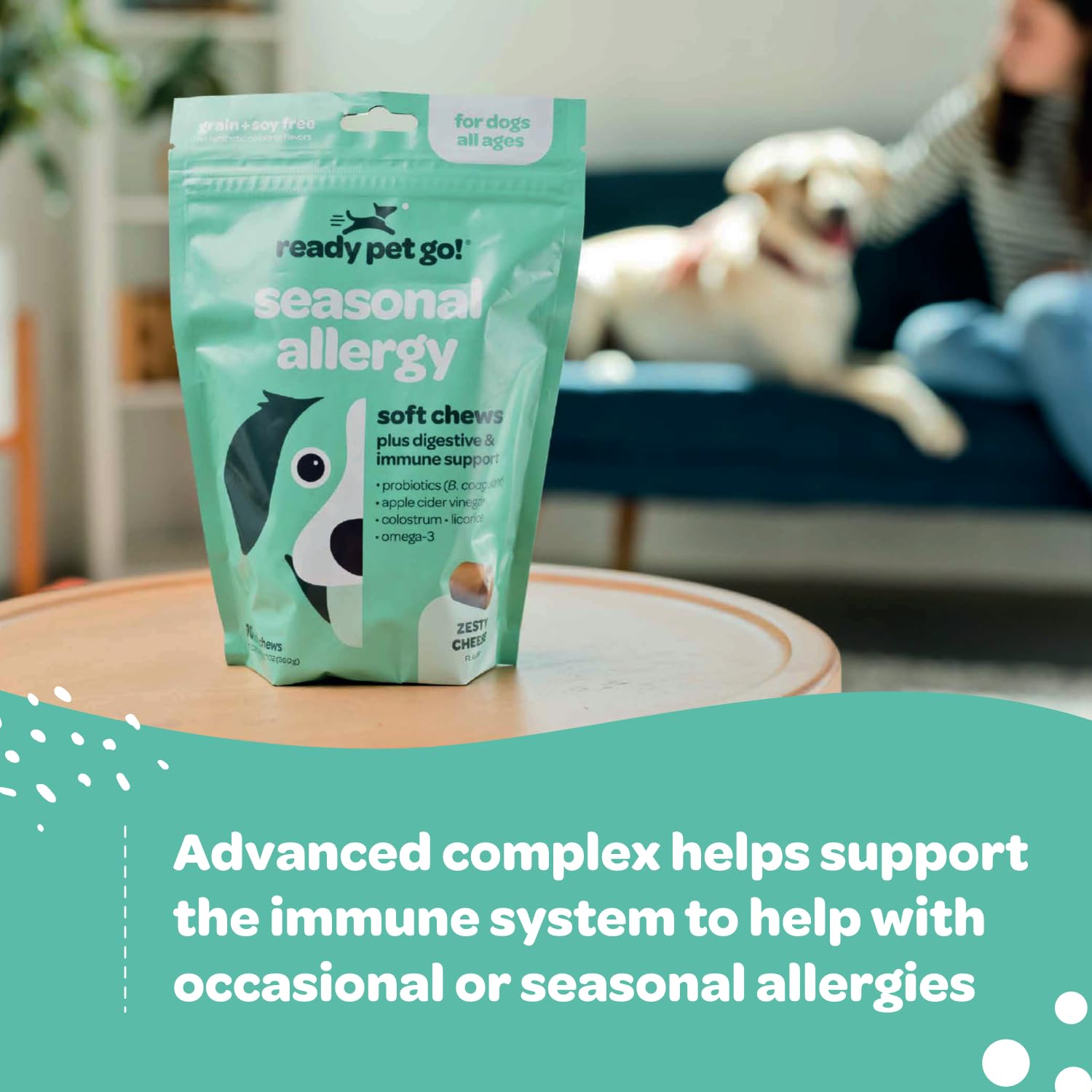 Ready Pet Go skin-and-coat chew suggests healthy fur benefits.
