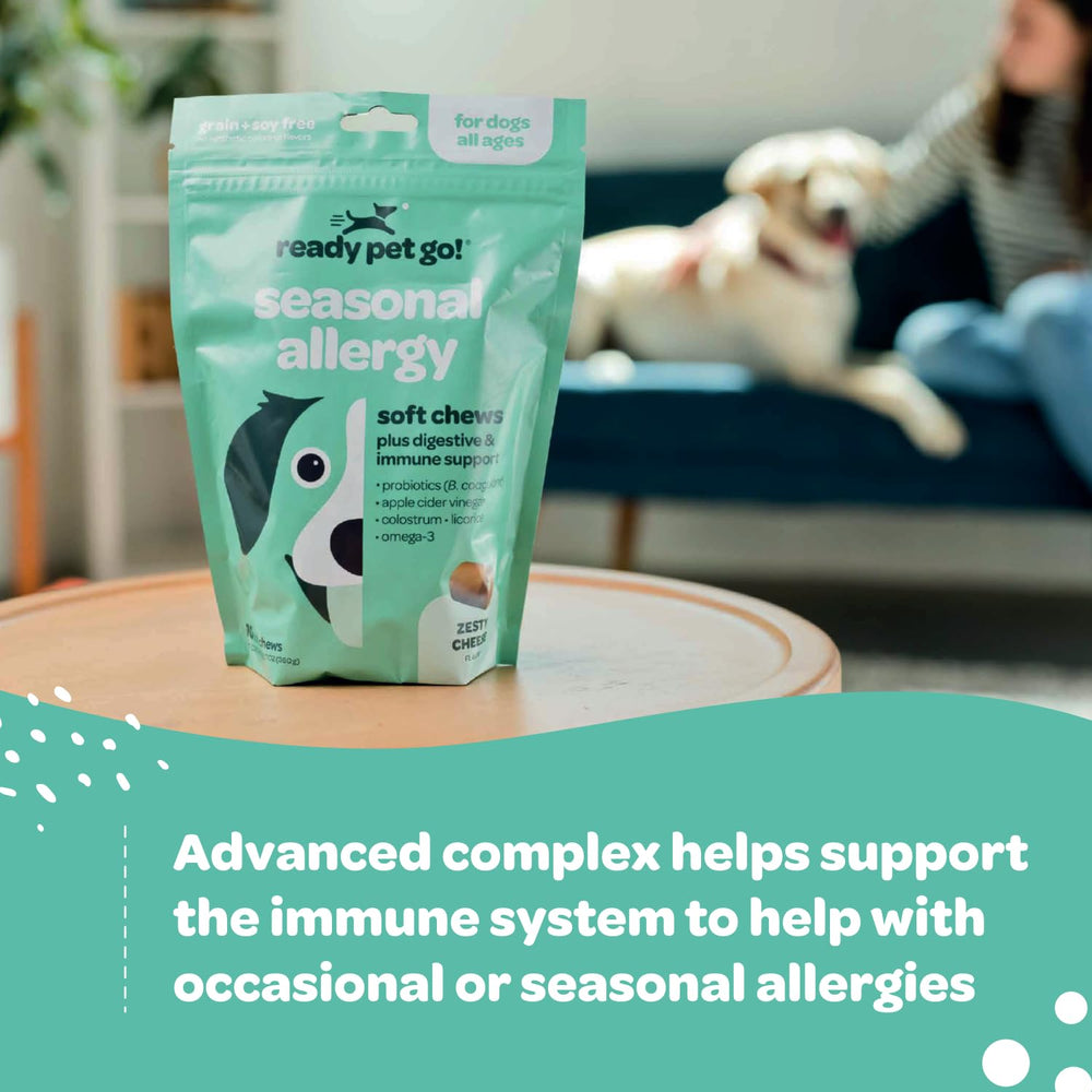 Ready Pet Go skin-and-coat chew suggests healthy fur benefits.