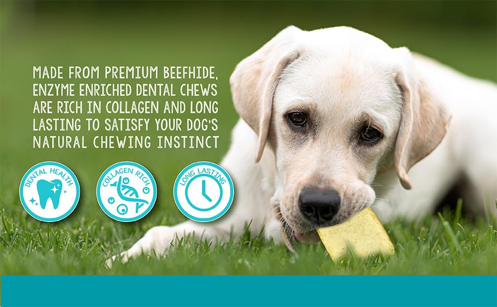 Real Hide enzyme-rich chew close-up texture supports tartar reduction.