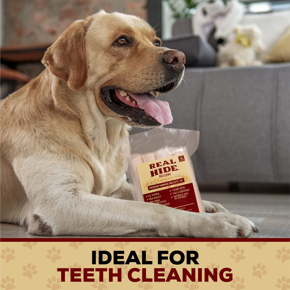 Real Hide long-lasting chew in action provides engaging entertainment.