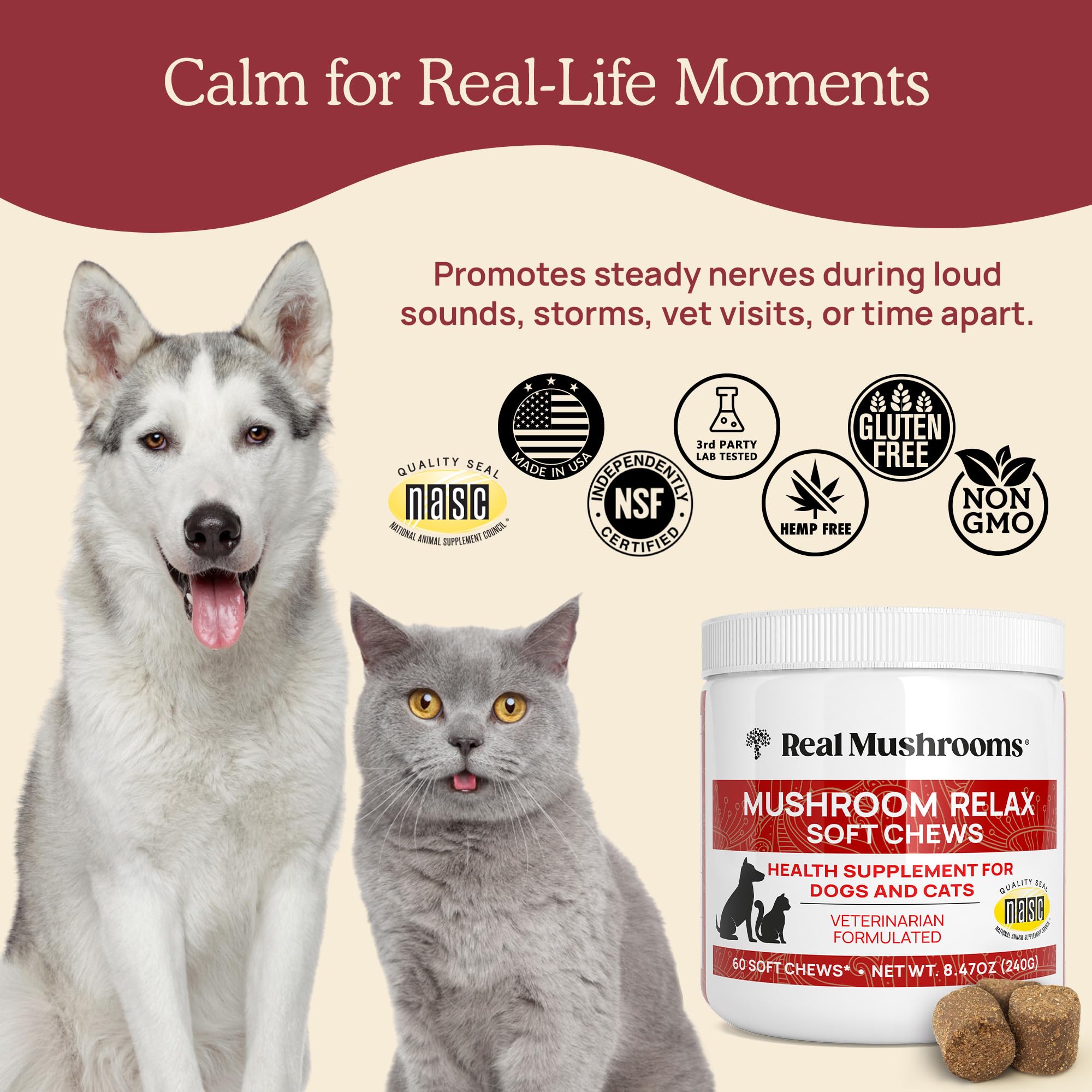Real Mushrooms Calming Chews 60-count package for multi-pet households.