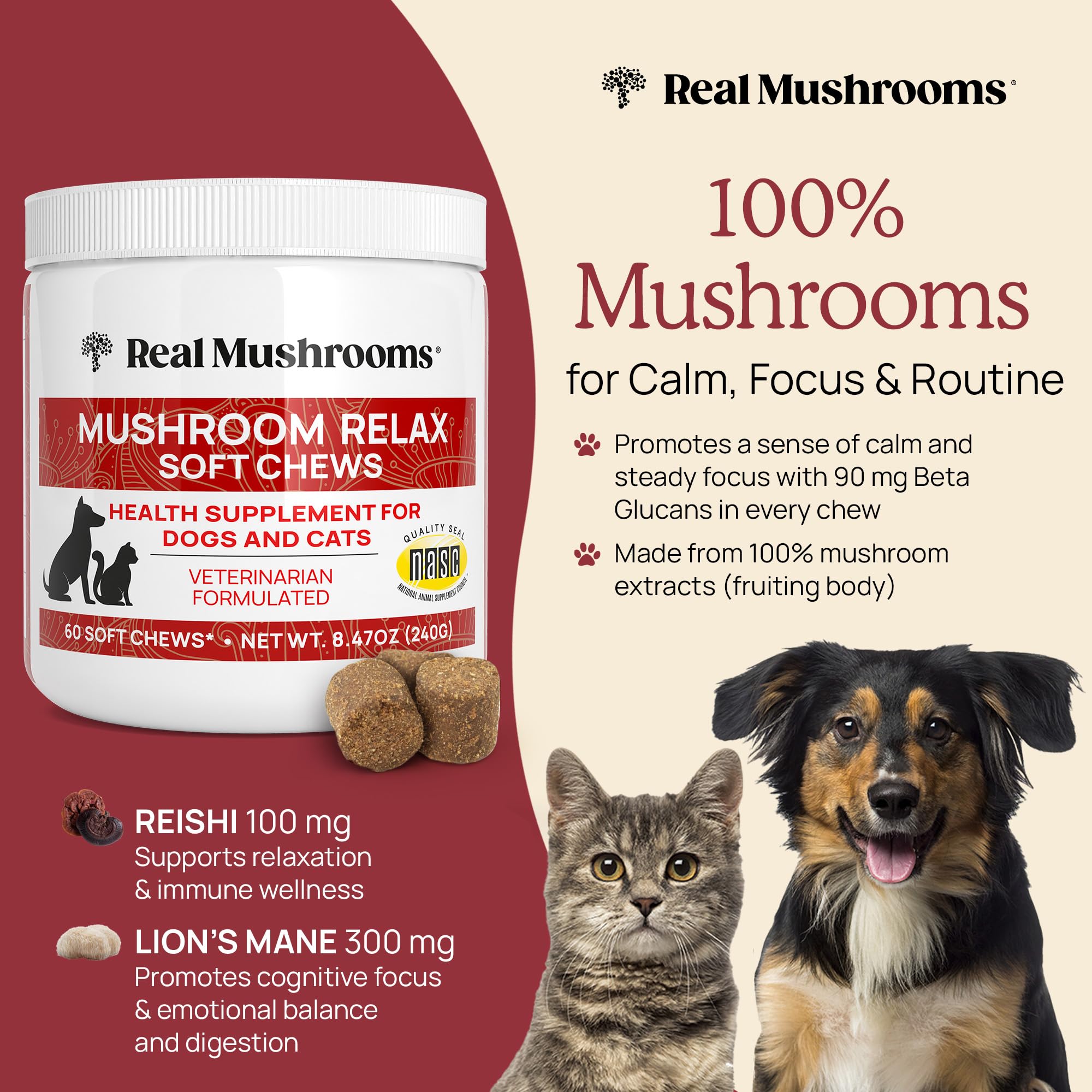 Real Mushrooms Calming Chews cat bottle pour promotes gentle daily routines.