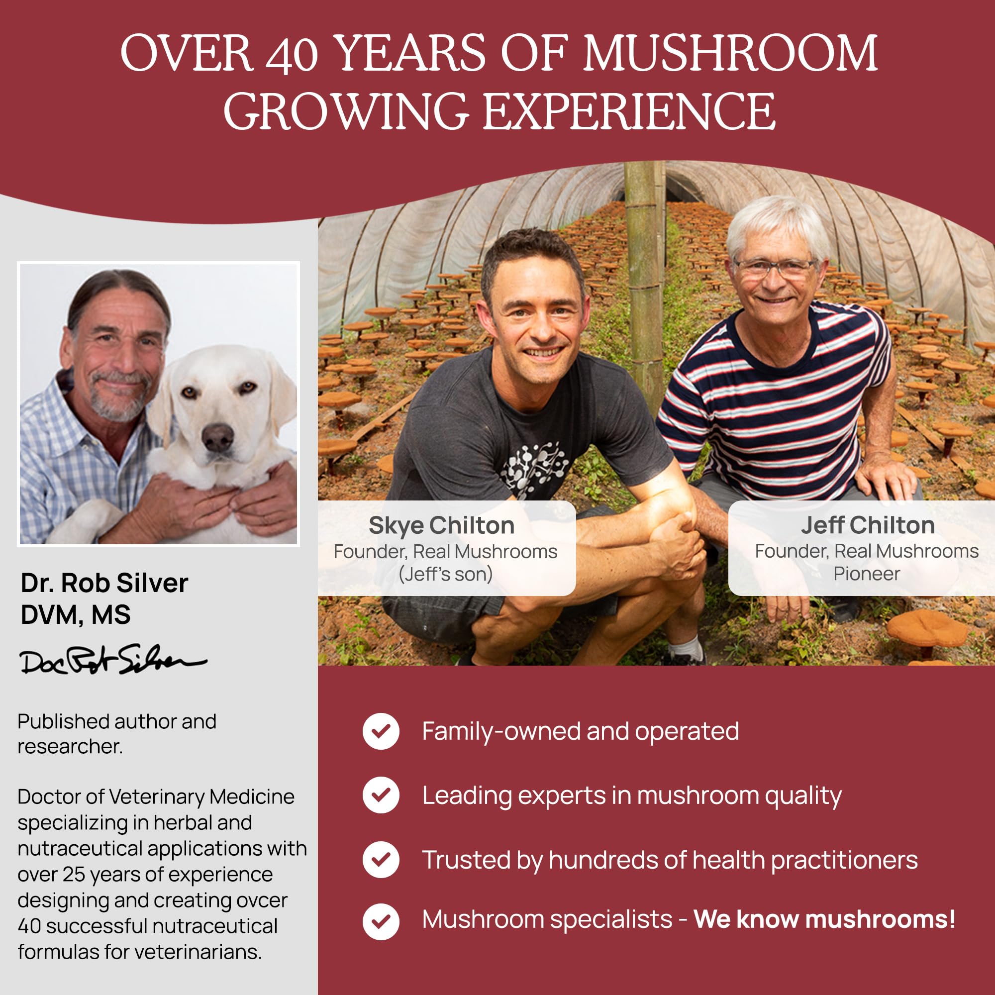 Real Mushrooms Calming Chews for dog and cat use supports routine relaxation.