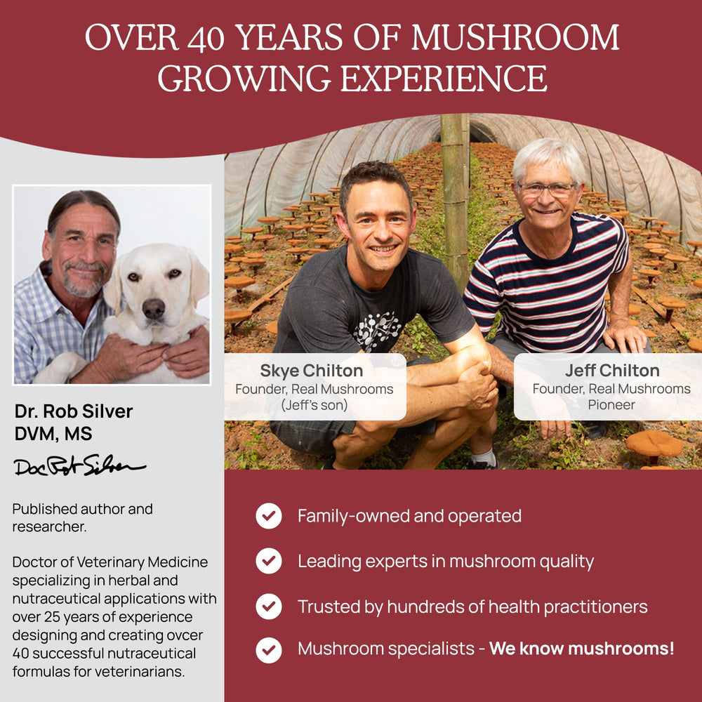 Real Mushrooms Calming Chews for dog and cat use supports routine relaxation.