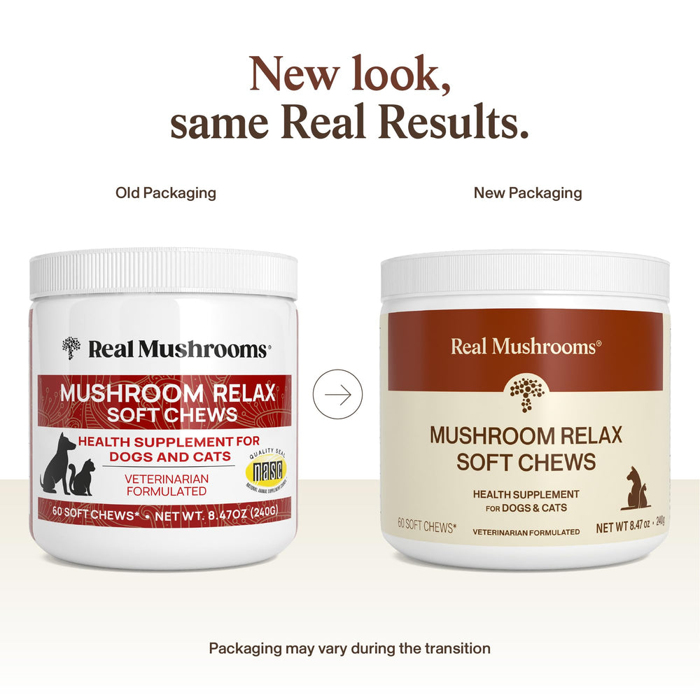 Real Mushrooms Calming Chews dog chew closeup showing soft texture for dogs.