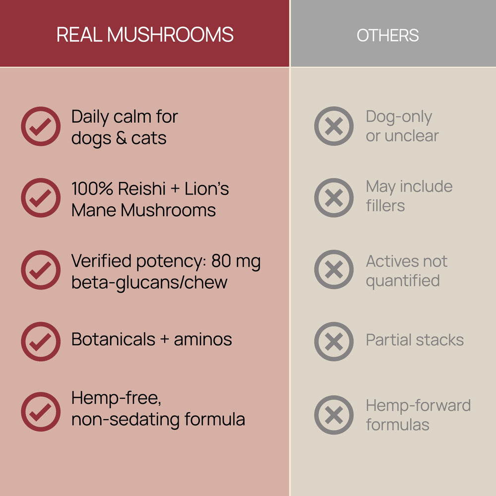 Real Mushrooms Calming Chews ingredients panel highlights Reishi and Lion’s Mane.