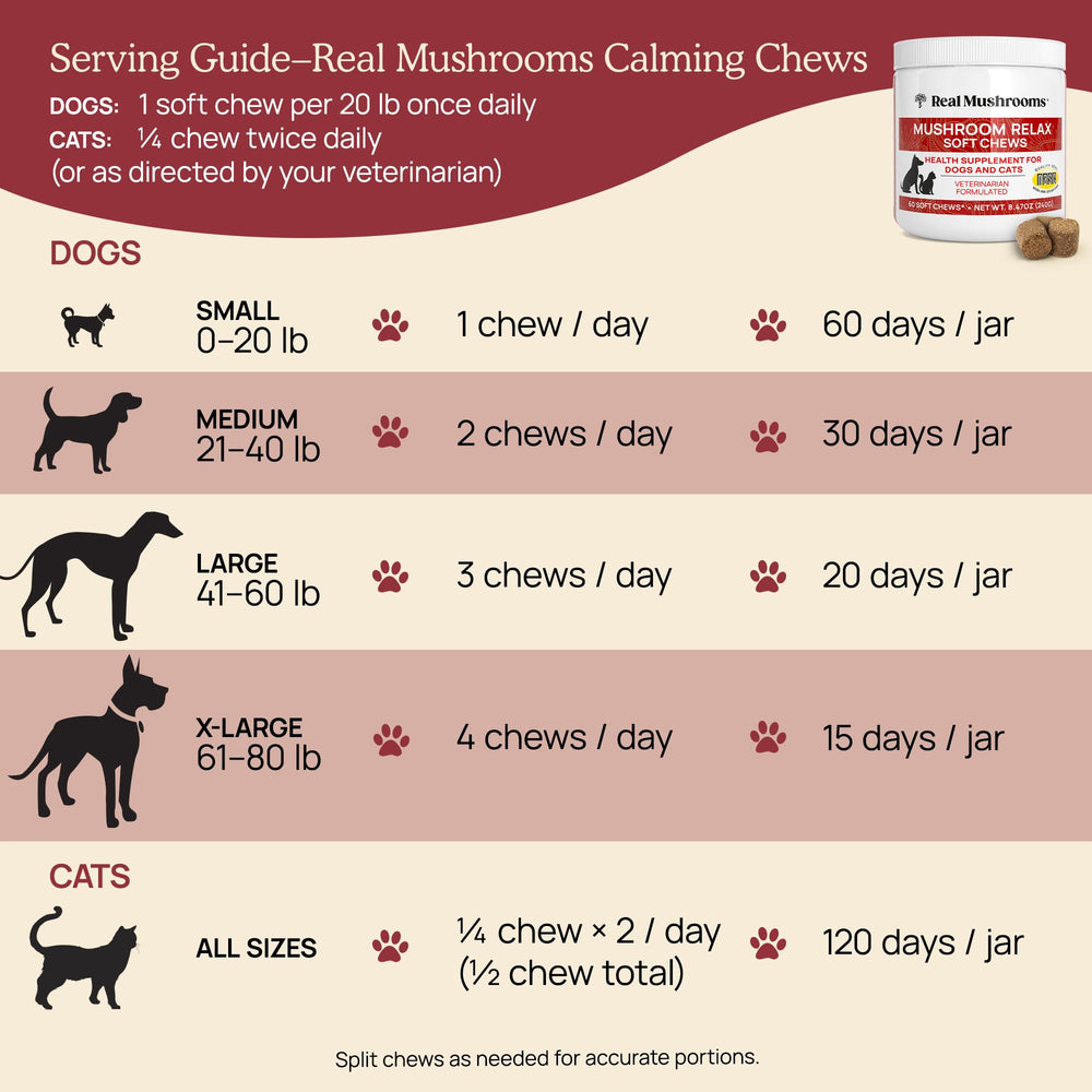 Real Mushrooms Calming Chews vegan formulation for filler-free treats.