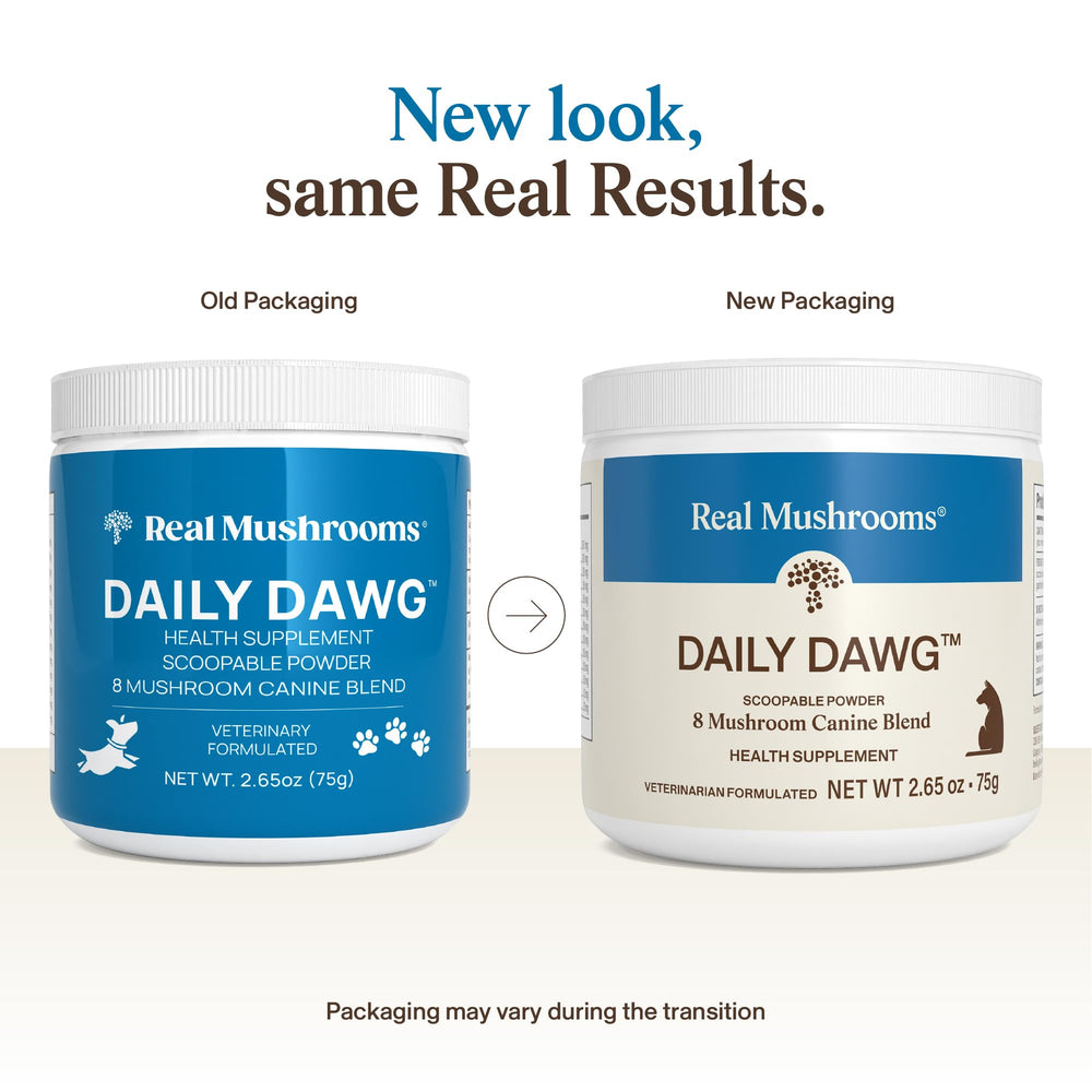 Real Mushrooms dog health powder in a bowl with food