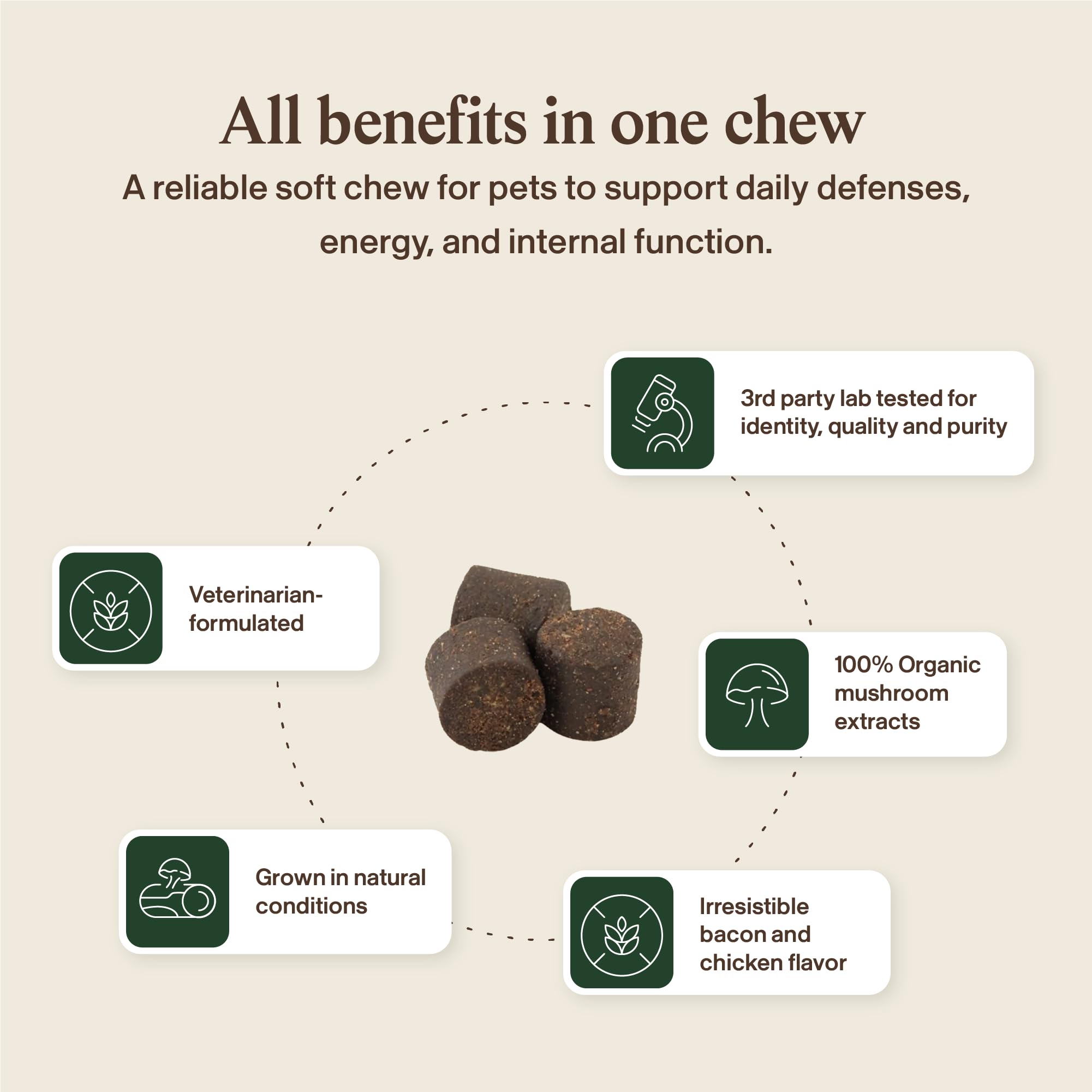 Real Mushrooms Immune Pet Chews daily-use—easy routine for digestion and energy.