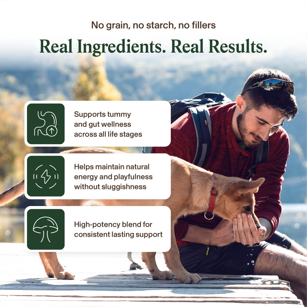 Real Mushrooms Immune Pet Chews ingredients—mushroom blend highlights Reishi Chaga Maitake.