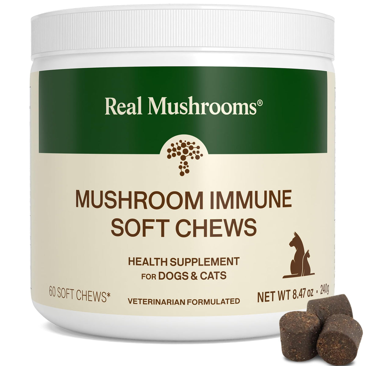 Real Mushrooms Immune Pet Chews jar close-up for daily immune support.