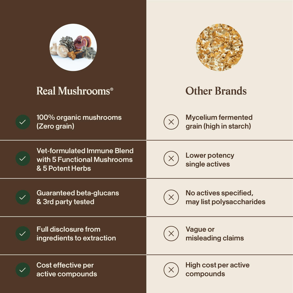 Real Mushrooms Immune Pet Chews made in USA—trusted, clean supplementation.