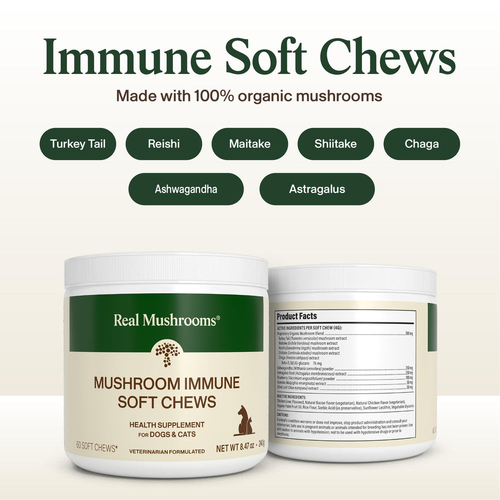 Real Mushrooms Immune Pet Chews—varied breeds sample, showing universal suitability.