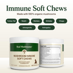 Real Mushrooms Immune Pet Chews—varied breeds sample, showing universal suitability.