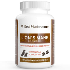 Real Mushrooms Lion’s Mane pet supplement bottle supports mindful routines for cats and dogs.