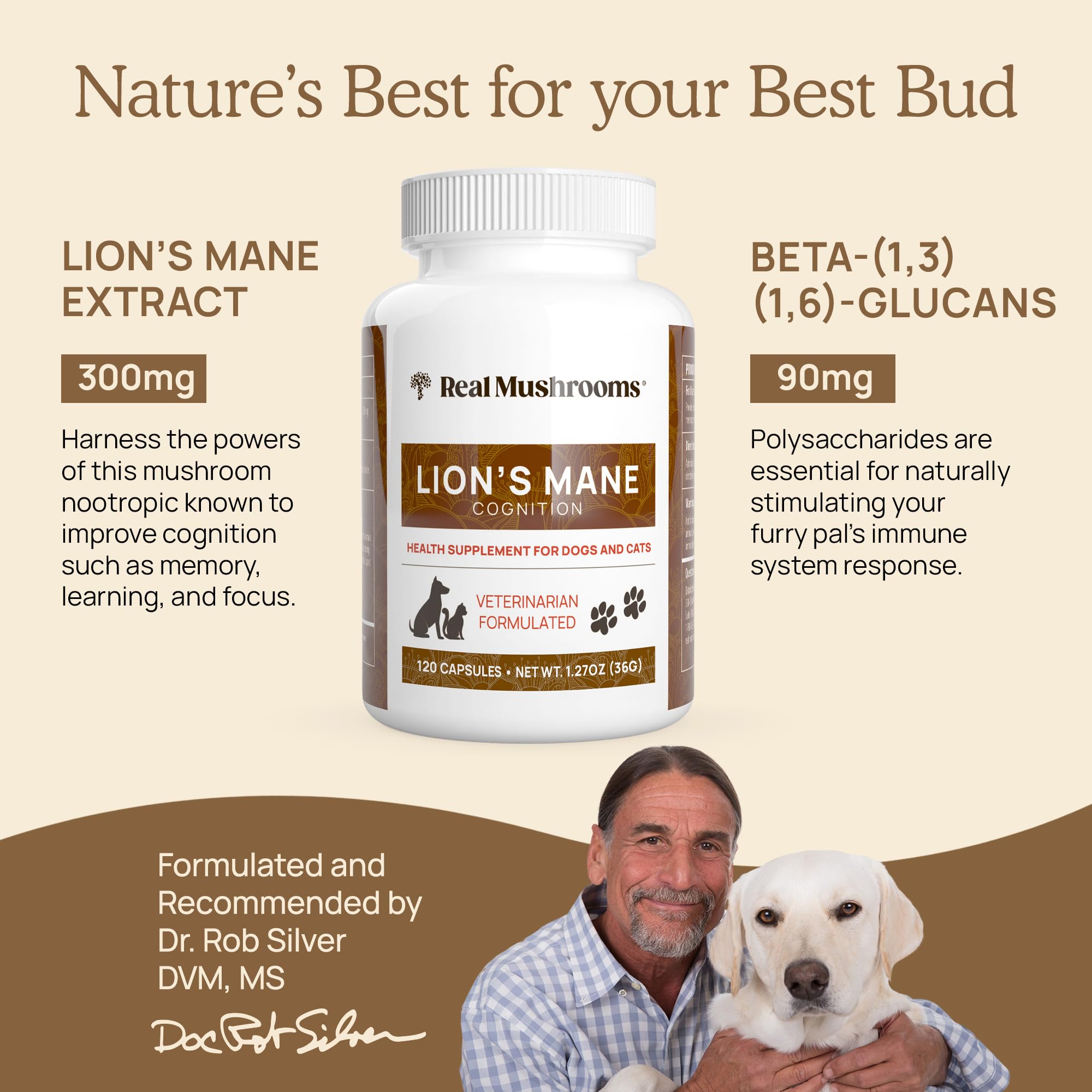 Real Mushrooms Lion’s Mane supplement with dog on plate suggests easy serving.