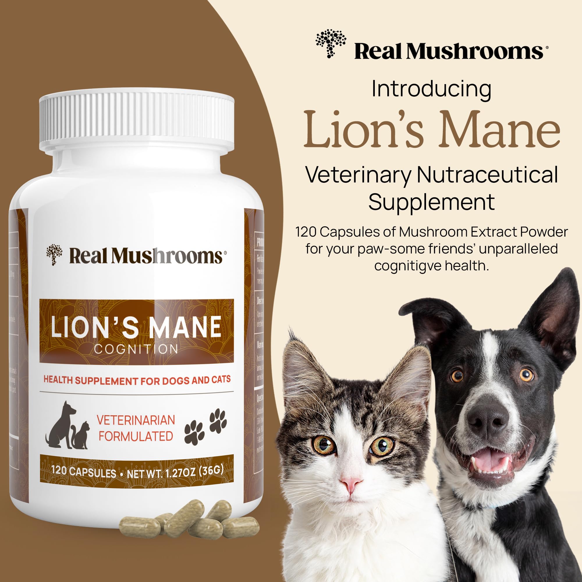 Real Mushrooms Lion’s Mane label detail highlights organic, vegan, non-GMO quality.