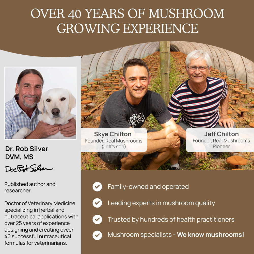 Real Mushrooms Lion’s Mane packaging emphasizes vegan and gluten-free attributes.