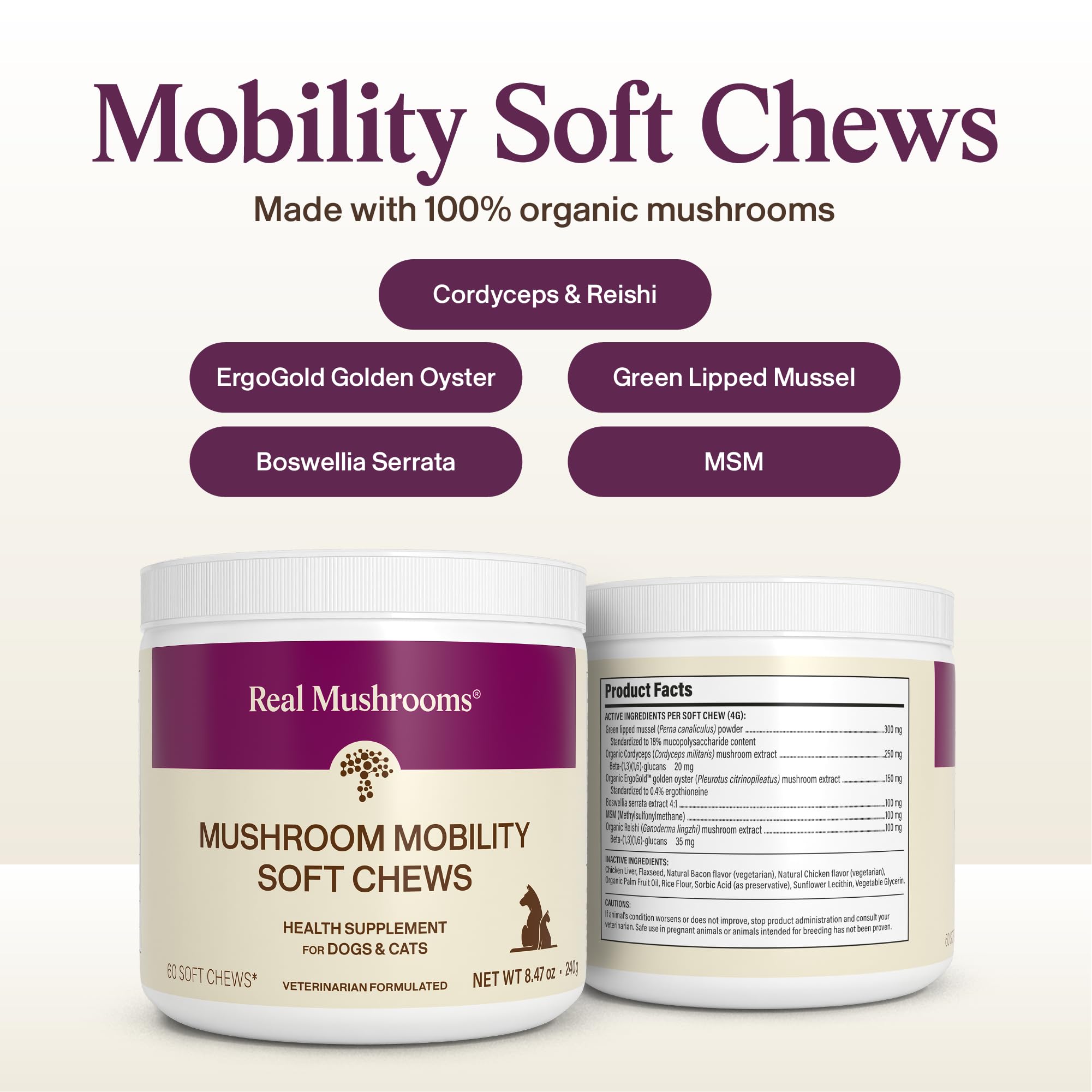 Real Mushrooms Mobility Chews cat serving shows feline-friendly dosing.