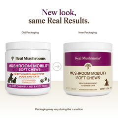 Real Mushrooms Mobility Chews dog serving demonstrates simple dosing for active dogs.