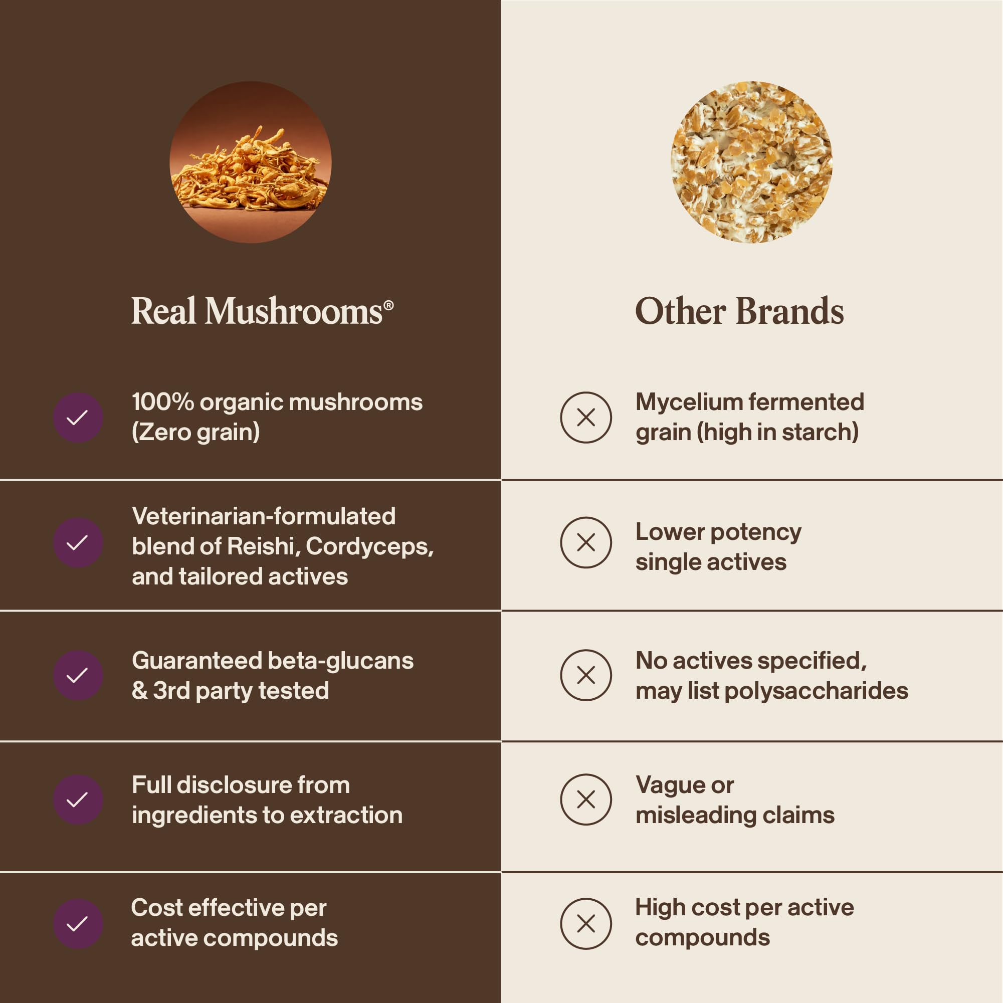 Real Mushrooms Mobility Chews 100% fruiting body mushrooms emphasis.