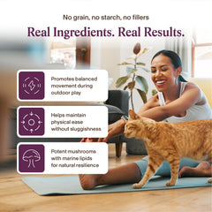 Real Mushrooms Mobility Chews green-lipped mussel ingredient highlights omega benefits.