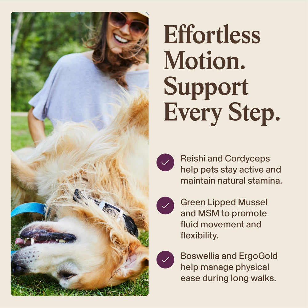 Real Mushrooms Mobility Chews MSM Boswellia blend supports joint comfort.