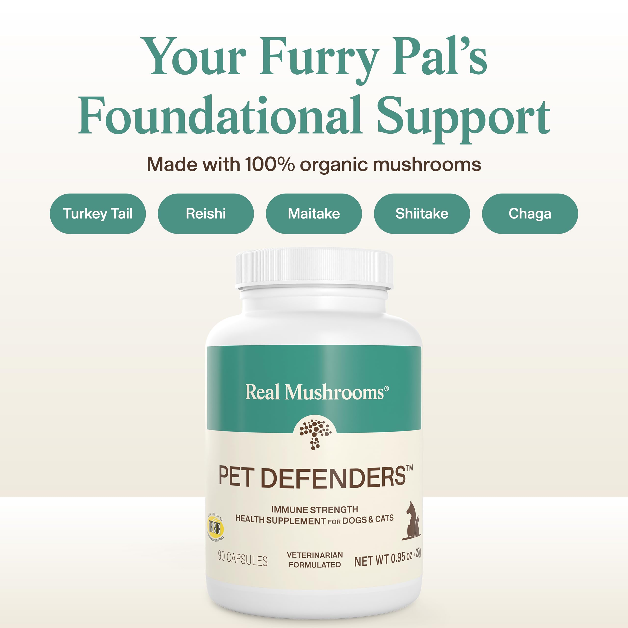 Real Mushrooms Pet Defenders daily scoop demonstrates simple portioning for consistent use.