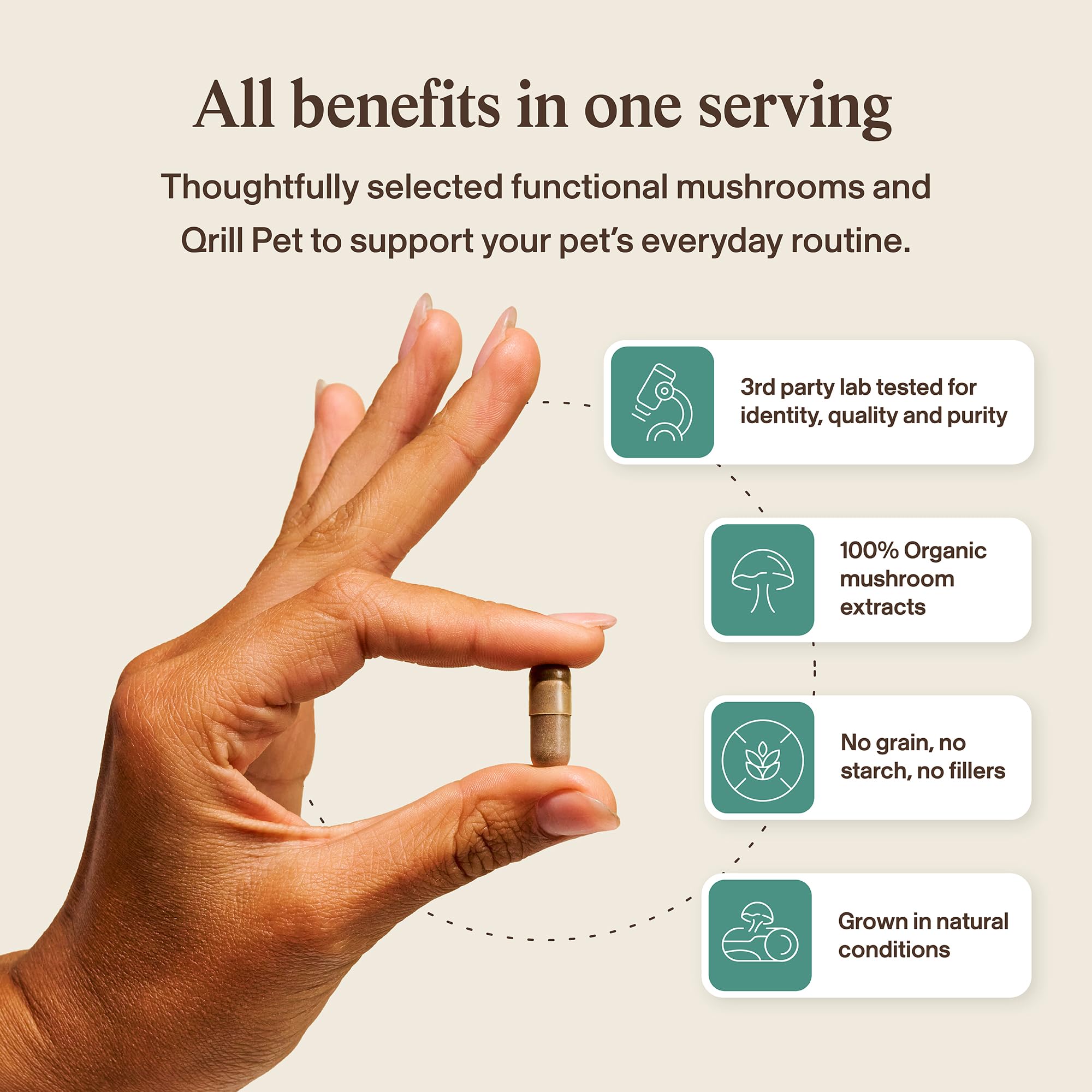 Real Mushrooms Pet Defenders label detail communicates a clean-label supplement.