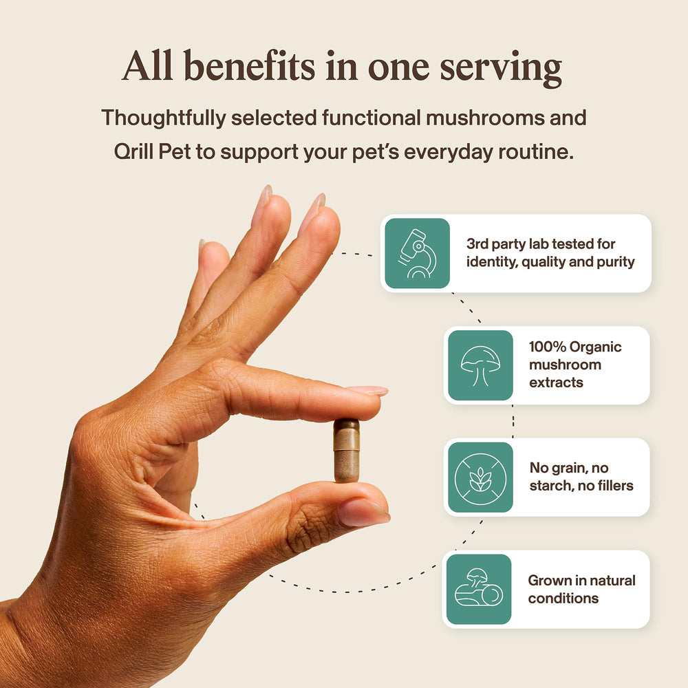 Real Mushrooms Pet Defenders label detail communicates a clean-label supplement.
