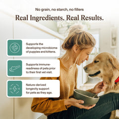 Real Mushrooms Pet Defenders organic mushrooms close-up highlighting 100% fruiting-body extracts.