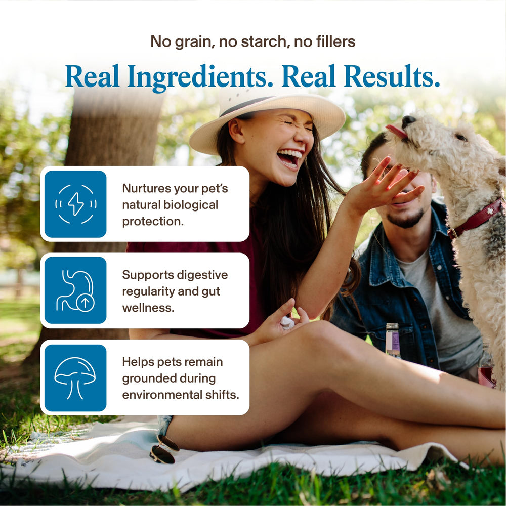 Seven-mushrooms ingredients label in focus for Real Mushrooms