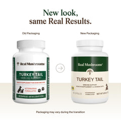 Capsules and jar contents of Real Mushrooms Turkey Tail for pets, easy to feed daily