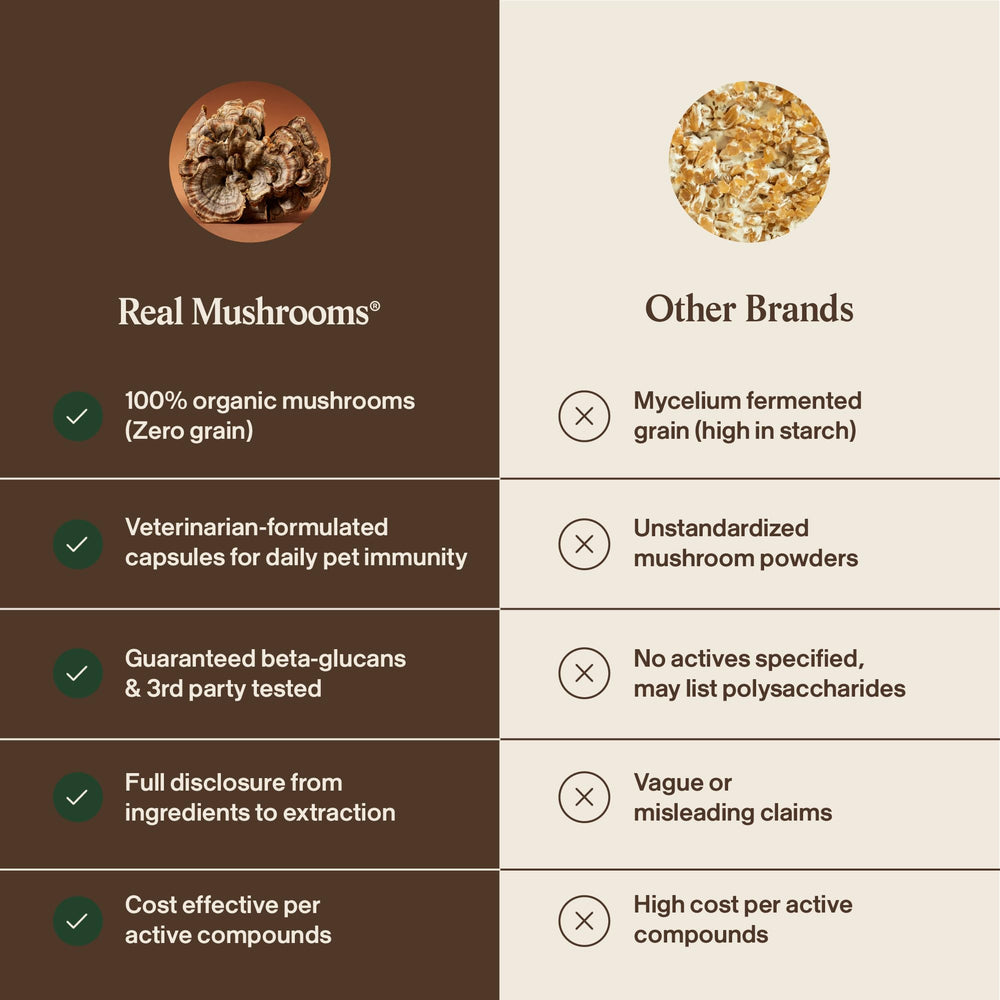 Hot water extraction shows digestible nutrients in Real Mushrooms Turkey Tail for pets
