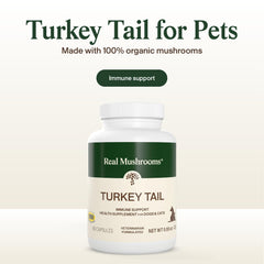 Turkey Tail capsules for dogs and cats supporting daily balance and well-being
