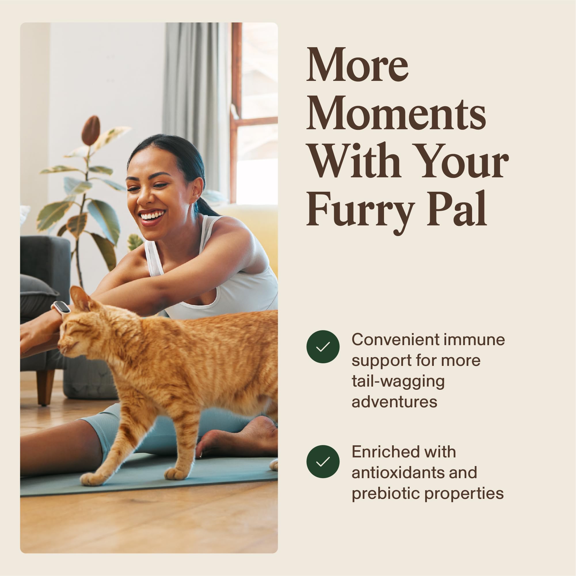 Capsules easy to feed or mix into meals for pets