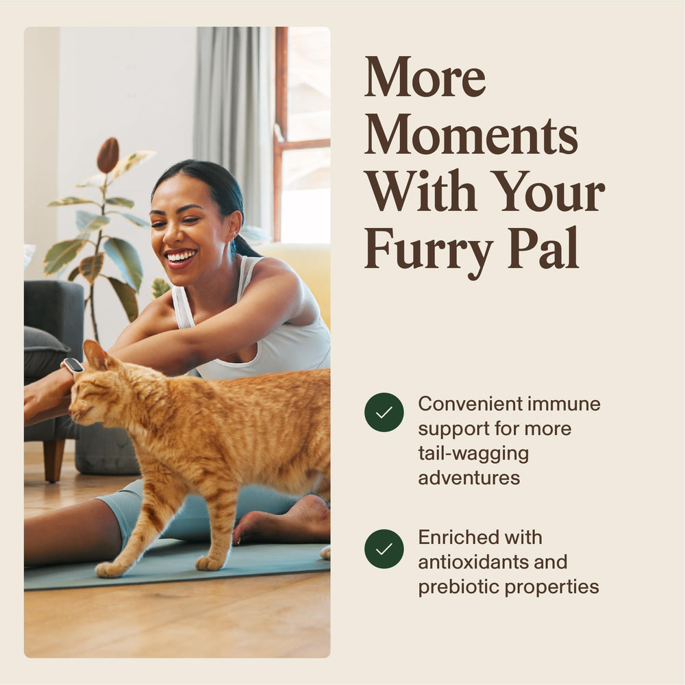 Capsules easy to feed or mix into meals for pets