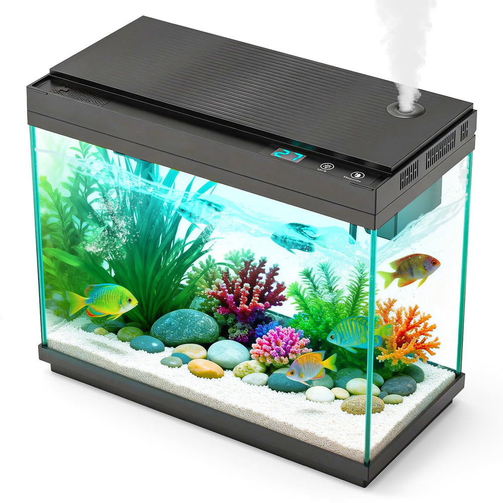 Rechale smart aquarium glass view provides clear visibility of your underwater scene