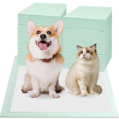 Red Rabbits 80pcs pads top view showing 24x24 size for training