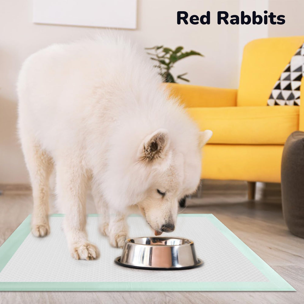 Red Rabbits 80pcs packaging offers convenient home or travel use