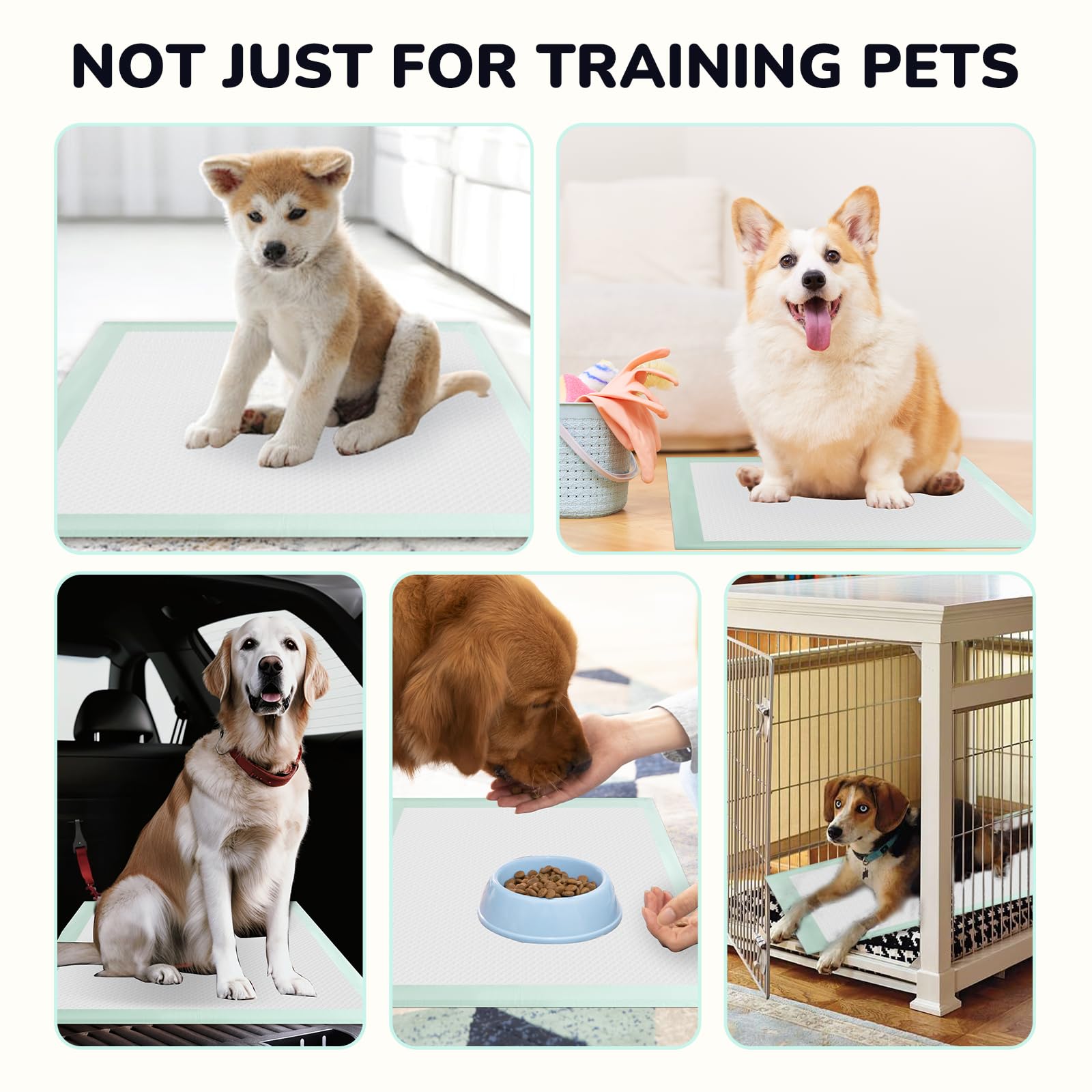 Red Rabbits versatile potty pads suited for indoor, outdoor, and car use.