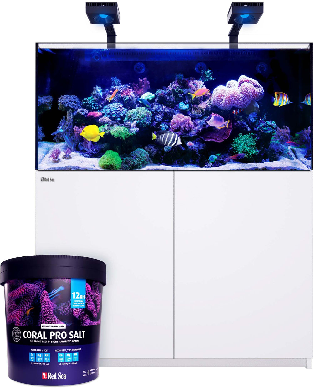 Red Sea Coral Pro Salt mix 55-gallon pail interior view supports SPS growth potential.