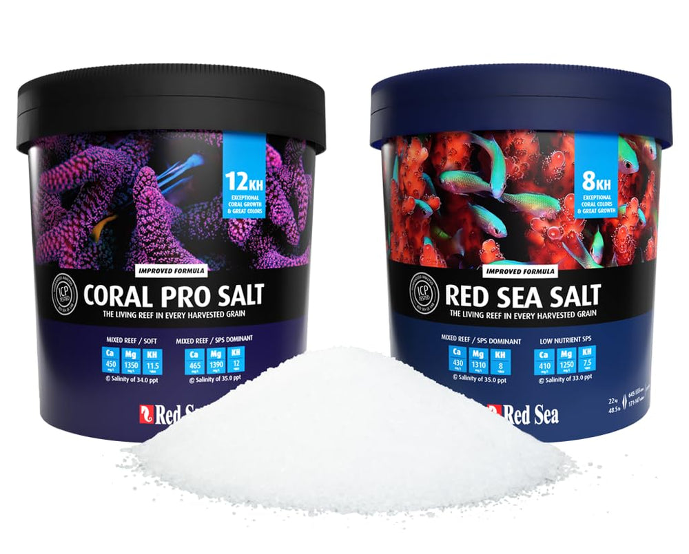 Red Sea Coral Pro Salt mix aquarium water clarity near-ready for vibrant coral display.