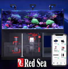 Red Sea Coral Pro Salt mix package detail emphasizes balanced calcium and magnesium for corals.