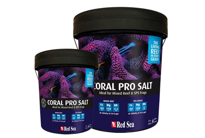 Red Sea Coral Pro Salt mix reef setup scene illustrates stable seawater chemistry.