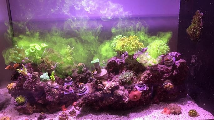 Dosing container being cleaned after using Reef Energy Plus.